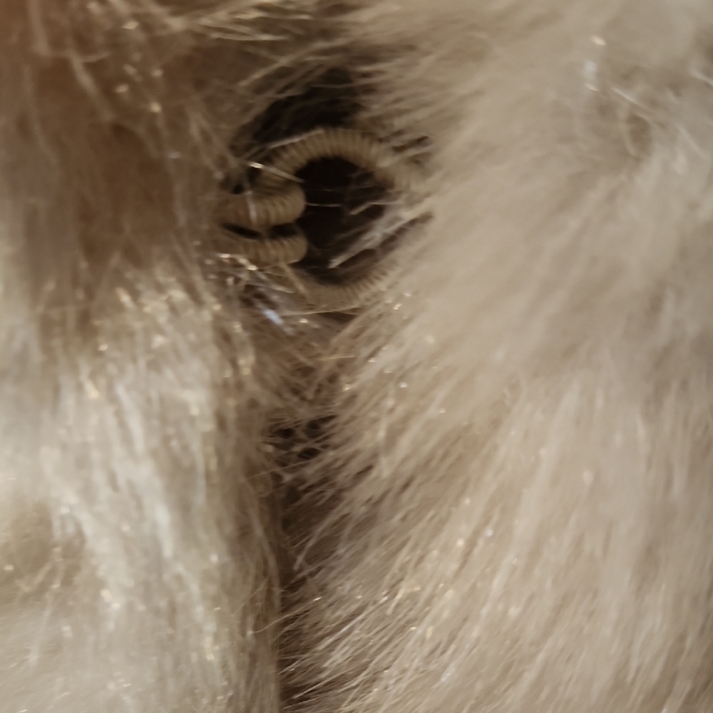 Roaman's Luxurious Cream Teddy Shawl/Stole - Picture 2 of 7